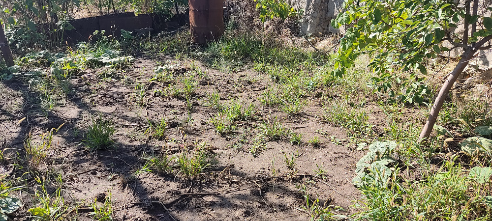 Продается дом с.  Нерубайское с видом на лиман. Нерубайське - фото 12