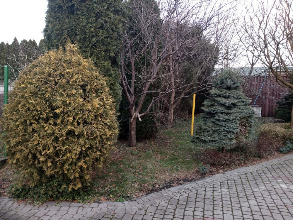 Продаж Квартира на улица Джерельна 10  - photo 19