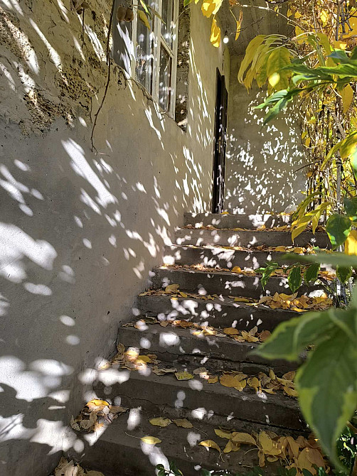 Продается участок с домом с ландшафтным дизайном на Таирова Odessa - photo 6