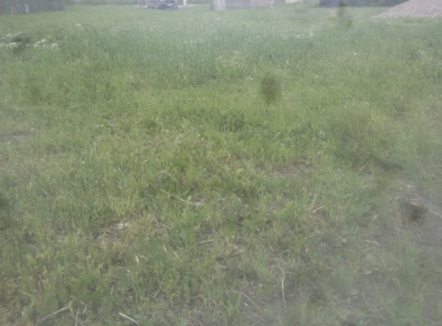 Продаж земельної ділянки 0.1 соток на ул. Шевченко, 83 Сухий Лиман - изображение 3