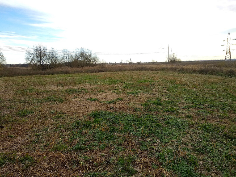 Продаж земельної ділянки 15.6 соток  - photo 4