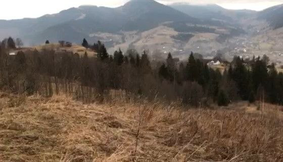 Продаж земельної ділянки 74.42 соток на Підкринта  - photo 3