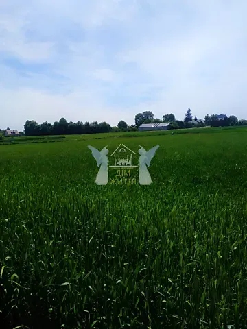 Продажа земельного участка  площадь 29.6 сот Шевченка вулиця  - изображение 2