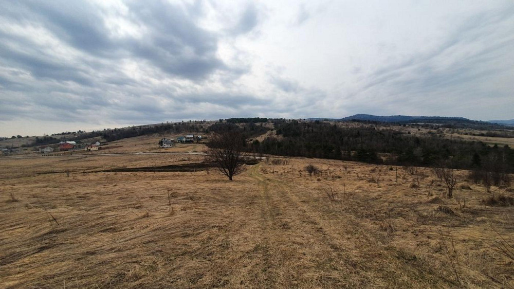 Продаж земельної ділянки 13.7 соток на вул. Шевченка Опака - фото 1