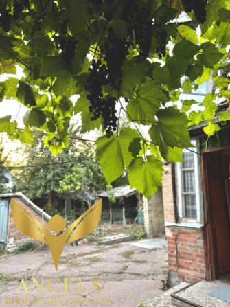 Продаж 3-к будинку із зручностями і окремим двором Балашівка Кропивницький - фото 16