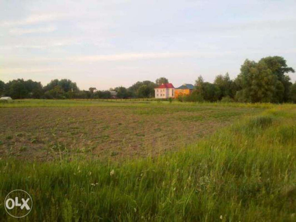 Продаж земельної ділянки 24 соток на Полевая Бориспіль - фото 2