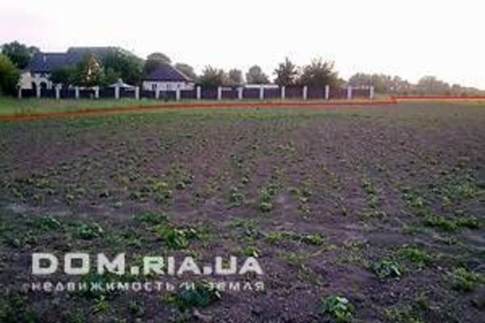 Продаж земельної ділянки 24 соток на Полевая  - фото 2