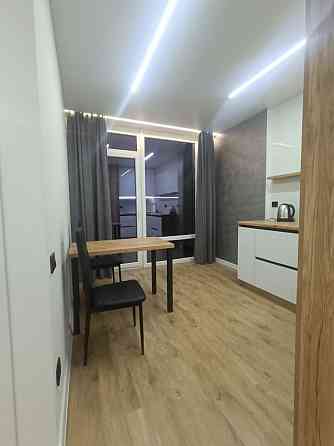 Оренда Квартира 1-кімнатна, 12/13 поверх на вул. Бельведерська Івано-Франківськ