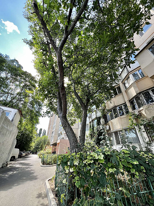 Продам 2-комнатую квартиру, Люстдорфская дорога / Бреуса Одеса - фото 19