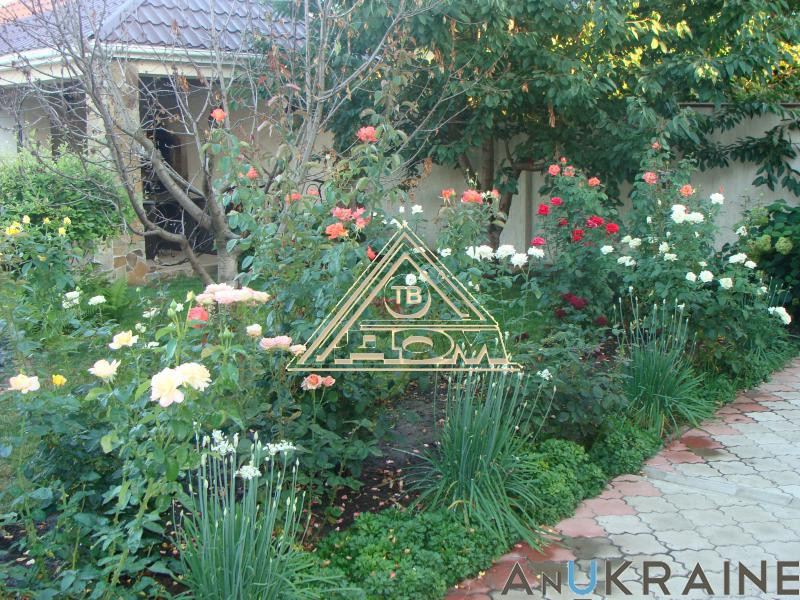 Продаж земельної ділянки 0.1 соток на ул. Виноградна, 36 Молодіжне - фото 6