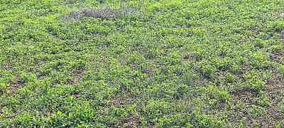 Продаж земельної ділянки 0 соток на Витамин, 394-396 Нерубайське