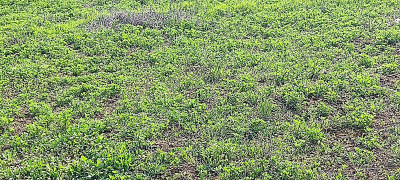 Продаж земельної ділянки 0 соток на Витамин, 394-396 Нерубайське - фото 6