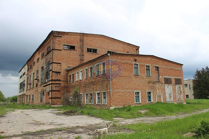 Продаж офісне приміщення на Лісова вул. приміщень - 200, поверх - 1/3 Борщі - фото 11