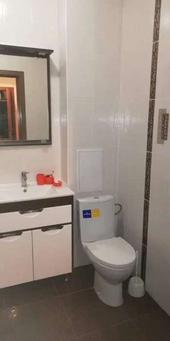 Оренда Квартира 1-кімнатна, 20/25 поверх на ул. Сикорского Київ - фото 4