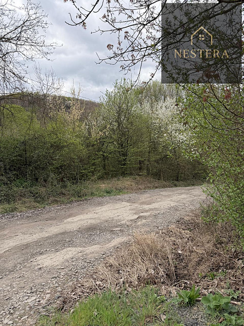 Продаж Будинок 2-кімнатний на вул. Нижня Оріховиця - фото 7