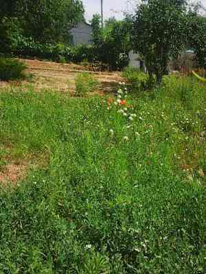 Продаж земельної ділянки 7 соток на ул. Грушевского (ул. Ленина), 214 Усатове