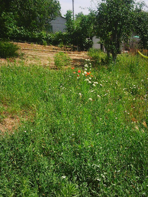 Продаж земельної ділянки 0.1 соток на ул. Грушевского (ул. Ленина), 214 Усатове - фото 2