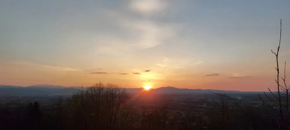 Продаж земельної ділянки 29 соток Жураки - фото 2