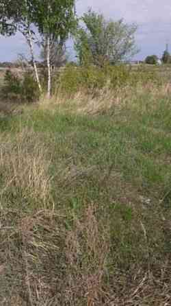 Продаж земельної ділянки 15 соток 