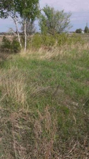 Продаж земельної ділянки 15 соток  - фото 1