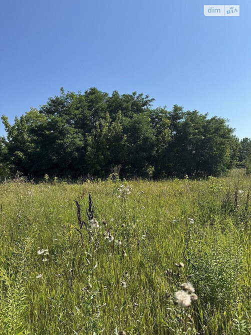 Продаж земельної ділянки 8 соток на масив Поляна Vinnytsya - photo 4