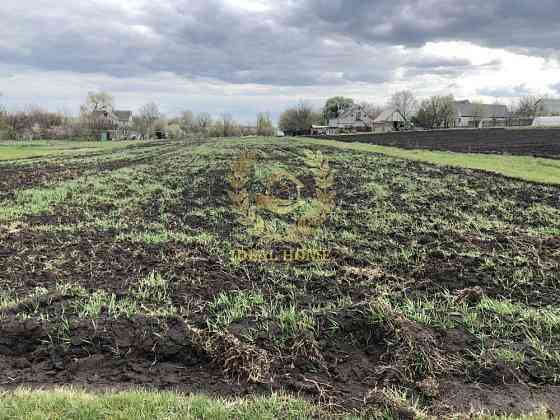 Продаж земельної ділянки 61 соток на Полевая ул., 3 Ustymivka