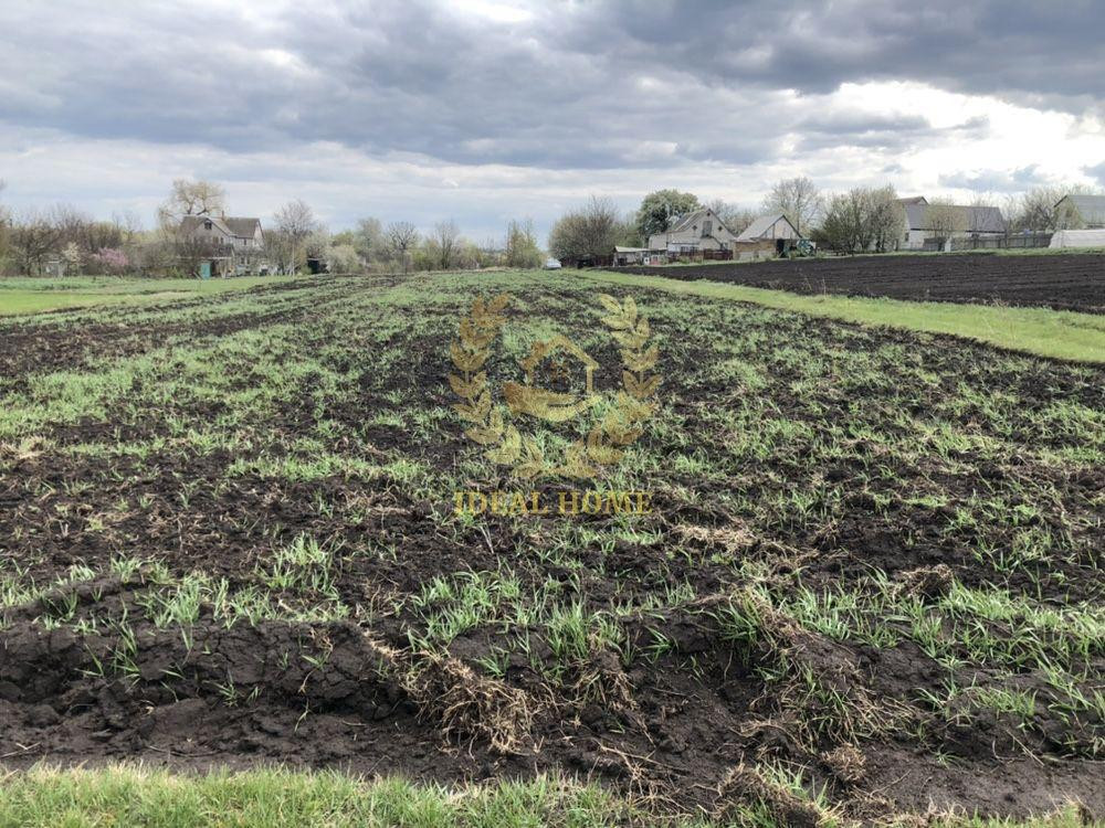 Продаж земельної ділянки 61 соток на Полевая ул., 3 Ustymivka - photo 1