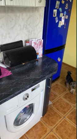 Оренда Квартира 3-кімнатна, 2/9 поверх на Героїв Севастополя, 12 Kiev