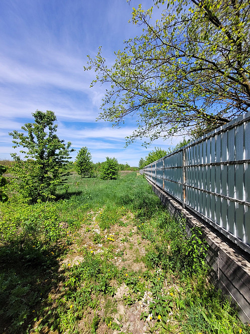 Продаж земельної ділянки 25 соток на Лесі Українки Kolodiivka - photo 4