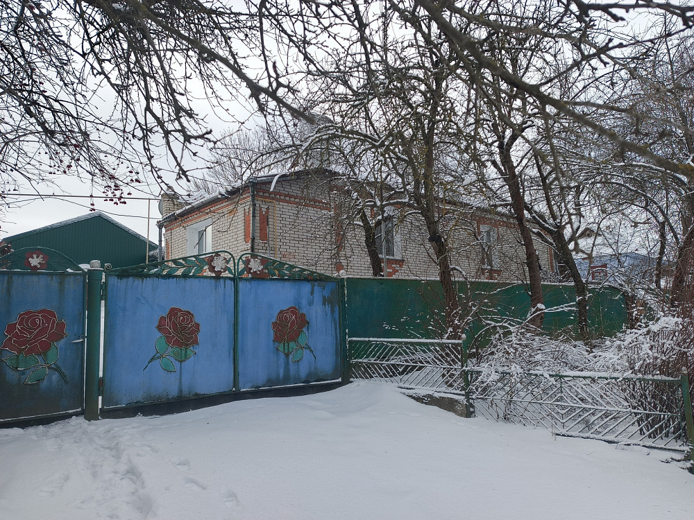 Продаж Будинок Антопіль (Томашпільський район) - фото 1