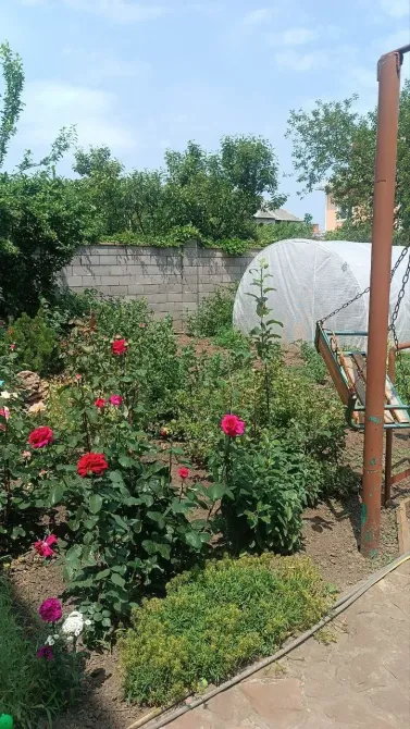 Оренда 2-поверховий Будинок з ділянкою 10 сот 410 кв.м 4 кімн. на Тираспольська вулиця, 32 Одеса - фото 3