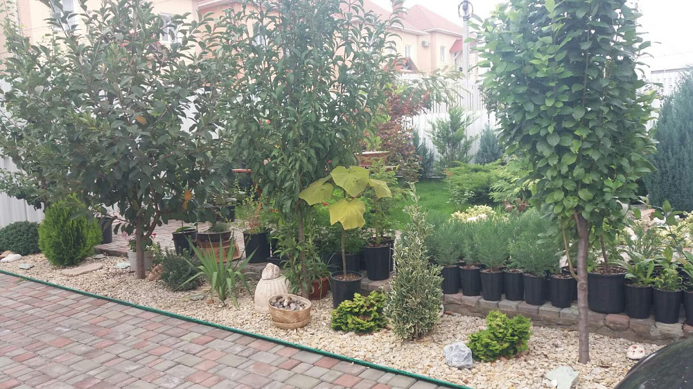 Продам дом  180м в Бурлачей Балке Бурлача Балка - фото 17