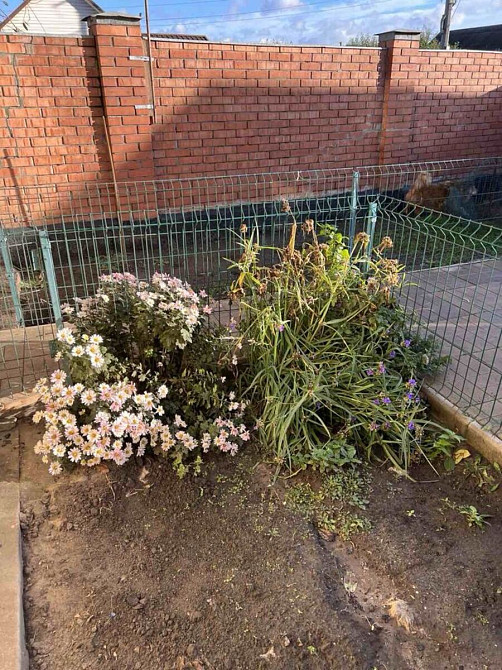 Продаж Будинок на Раздельная ул. Dnipro - photo 3