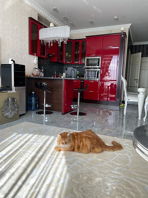 Оренда Квартира 2-кімнатна, 16/22 поверх на вул.Січових Стрільців, 52а Київ - фото 12