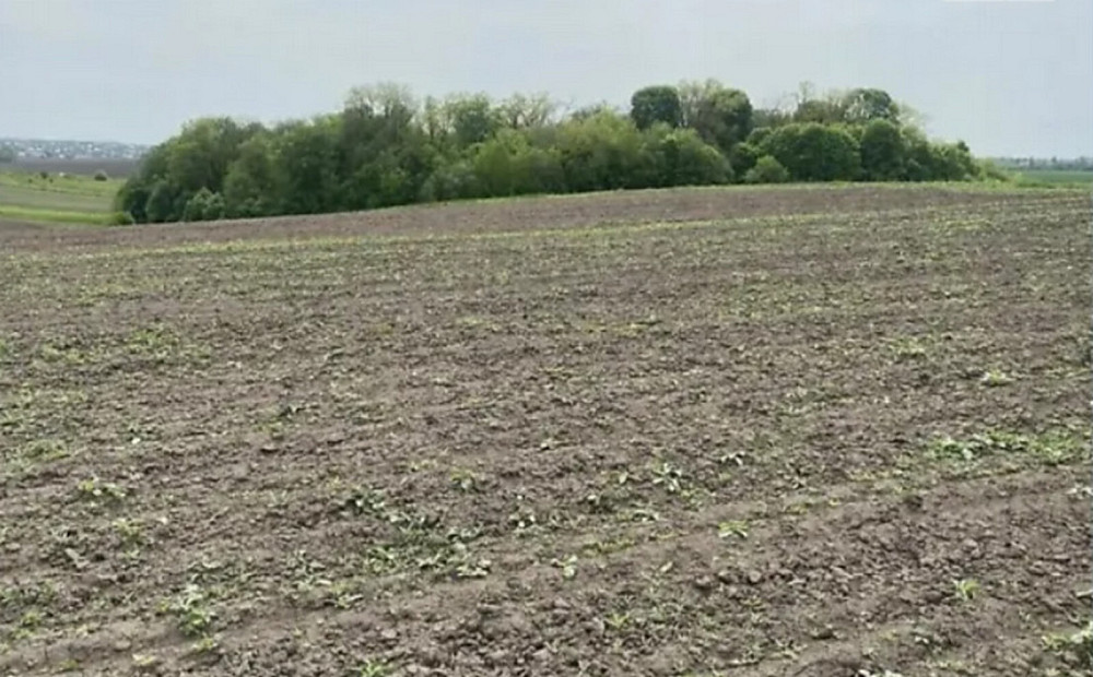 Продаж земельної ділянки 15 соток Байківці - фото 5