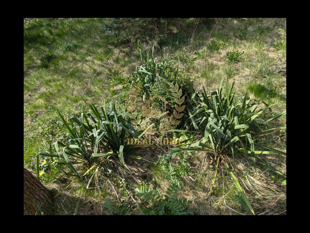 Продаж Будинок 5-кімнатний  - изображение 9