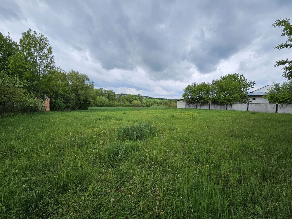 Продаж Будинок Тростянець (Долинський район) - изображение 9