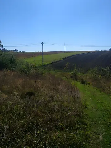 Продажа земельного участка  площадь 54 сот Лісна бічна вулиця  - изображение 2