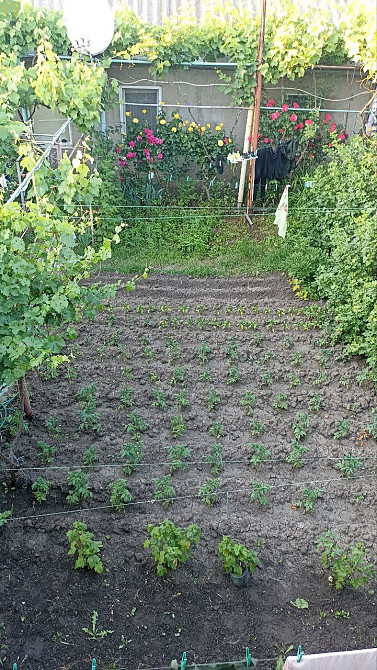 Продаж земельної ділянки 0.1 соток на ул. Вишневая, 9 Sukhyi Lyman - photo 15