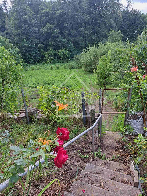 Продаж Будинок 100 м2 Дом Баня село Жуківці 32 сотки  - фото 3