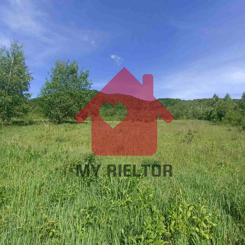 Продаж земельної ділянки 45 соток  - photo 3