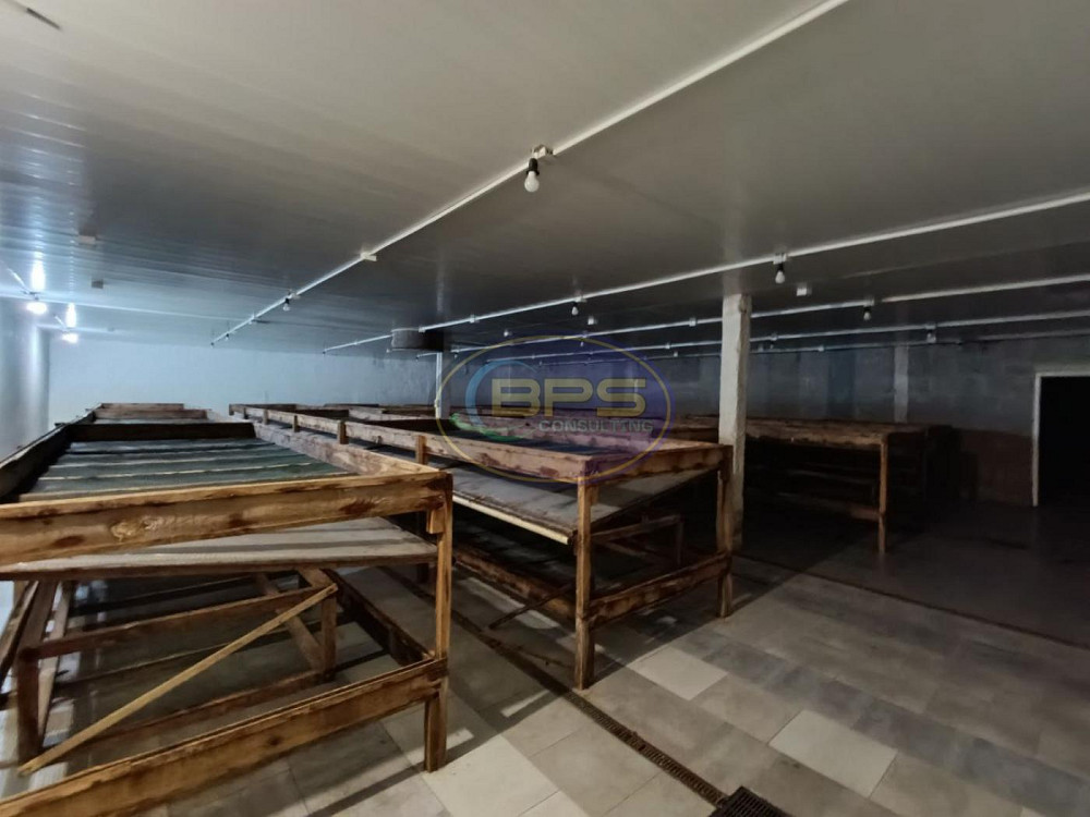 Продаж виробниче приміщення на вул. Центральна приміщень - 200, поверх - 1/1 Болгарка - фото 4