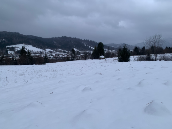 Продаж земельної ділянки Для будівництва приватного житлового будинку площа 0.49 сот Вул Зелена Тухля