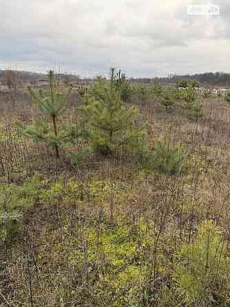 Продаж земельної ділянки 6 соток на Тютюнника Vinnytsya