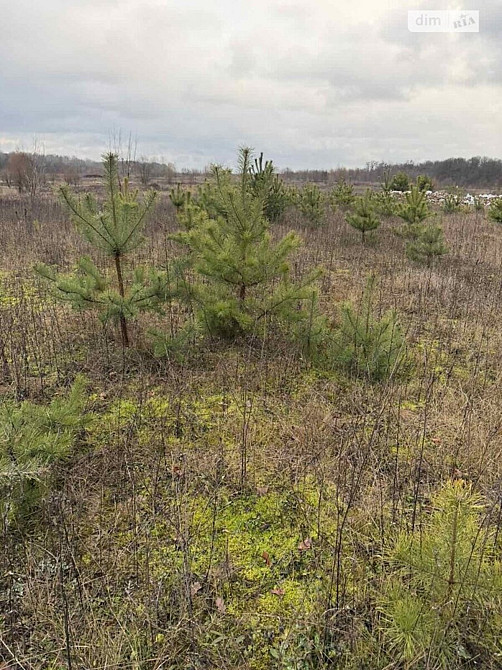 Продаж земельної ділянки 6 соток на Тютюнника Vinnytsya - photo 4