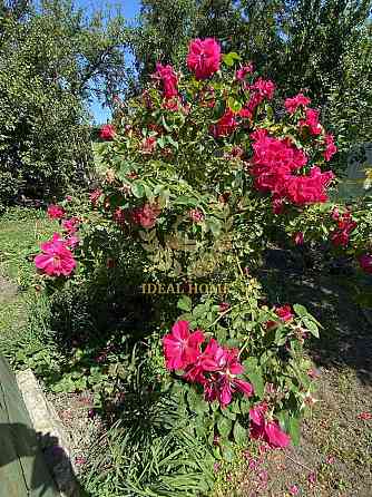 Продам дачный дом Київ, Садова 129-а вул. Kiev