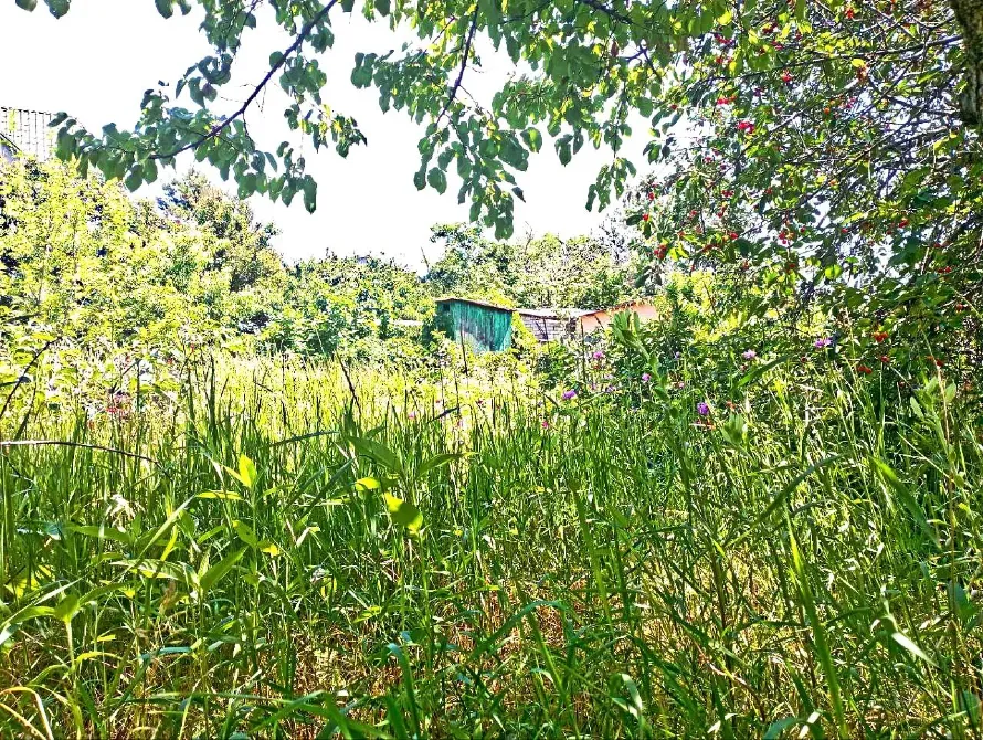 For sale land plot For the construction of a private residential building area 4.9 ares Мала Садова вулиця, 19 Odessa - photo 7