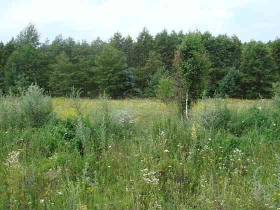 Продаж земельної ділянки 25 соток на улица Луговая, д. Евминка