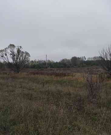 Продаж земельної ділянки 22 соток на Велики Кошарища садове товариство Житомир