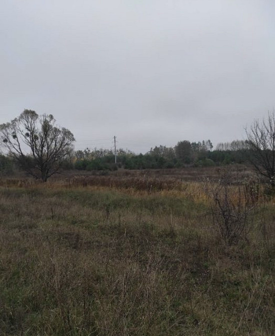 Продаж земельної ділянки 22 соток на Велики Кошарища садове товариство Житомир - изображение 4